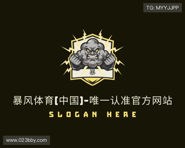 认识暴风体育官网